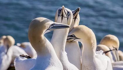 主流数字货币有哪些？怎么投资？