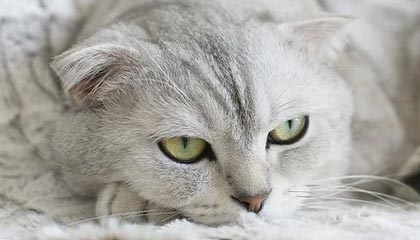 主流数字货币有哪些？怎么投资？