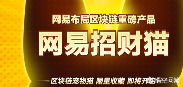 现在国内可以玩的区块链游戏有哪些<strong></p>
<p>以太坊浏览器</strong>？