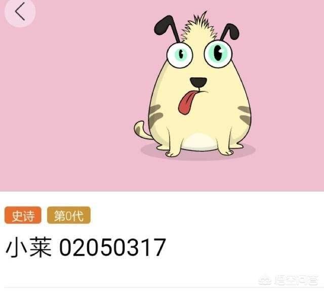 区块链如此火热<strong></p>
<p>以太坊私链</strong>，国内有哪些？