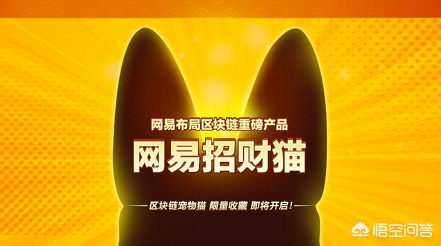 区块链养猫游戏CryptoKitties获A轮融资<strong></p>
<p>eth区块链</strong>，「以太猫」会像比特币一样火爆吗？
