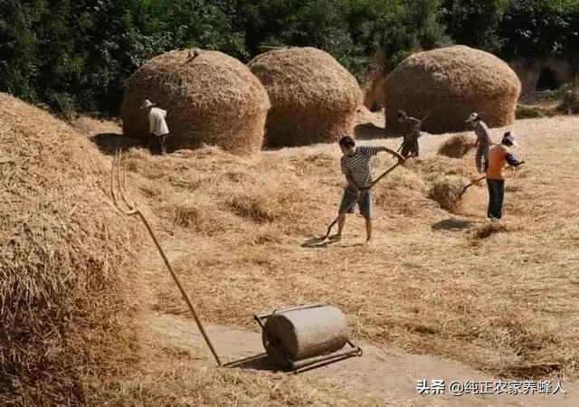 如果中国不进口粮食<strong></p>
<p>币安白皮书</strong>，能养活14亿人吗？
