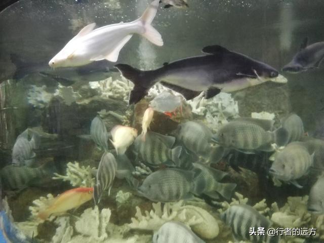 娱乐业的未来会如何发展<strong></p>
<p>娱乐场所</strong>？