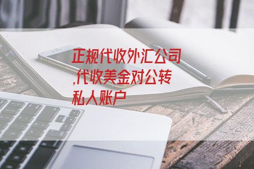 对公外汇(对公外汇账户根据账户性质不同)