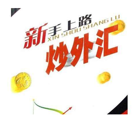 炒外汇投资(炒外汇投资3万一月800)