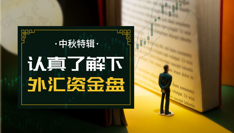 外汇存量(外汇存量权益申报)