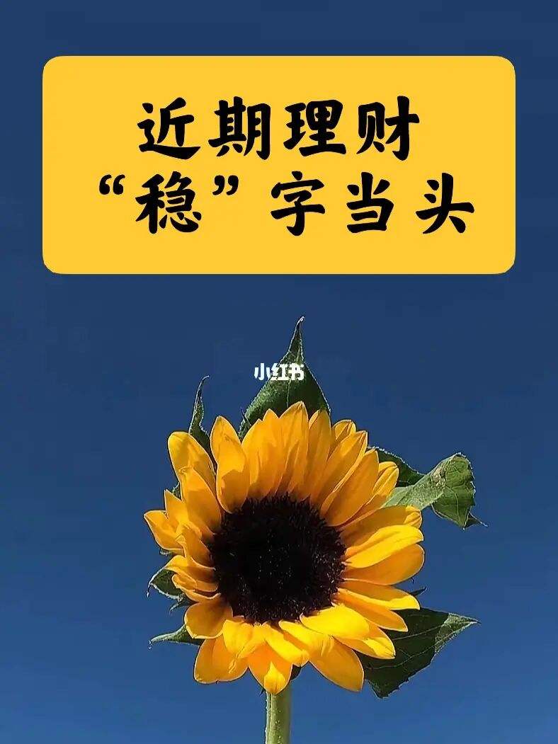 什么理财稳(什么理财稳定收益高)