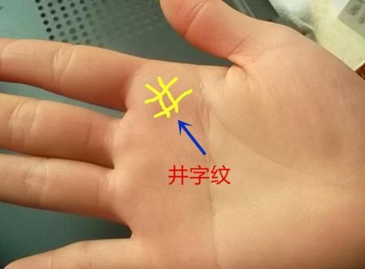 很多理财纹(理财纹图解大全)