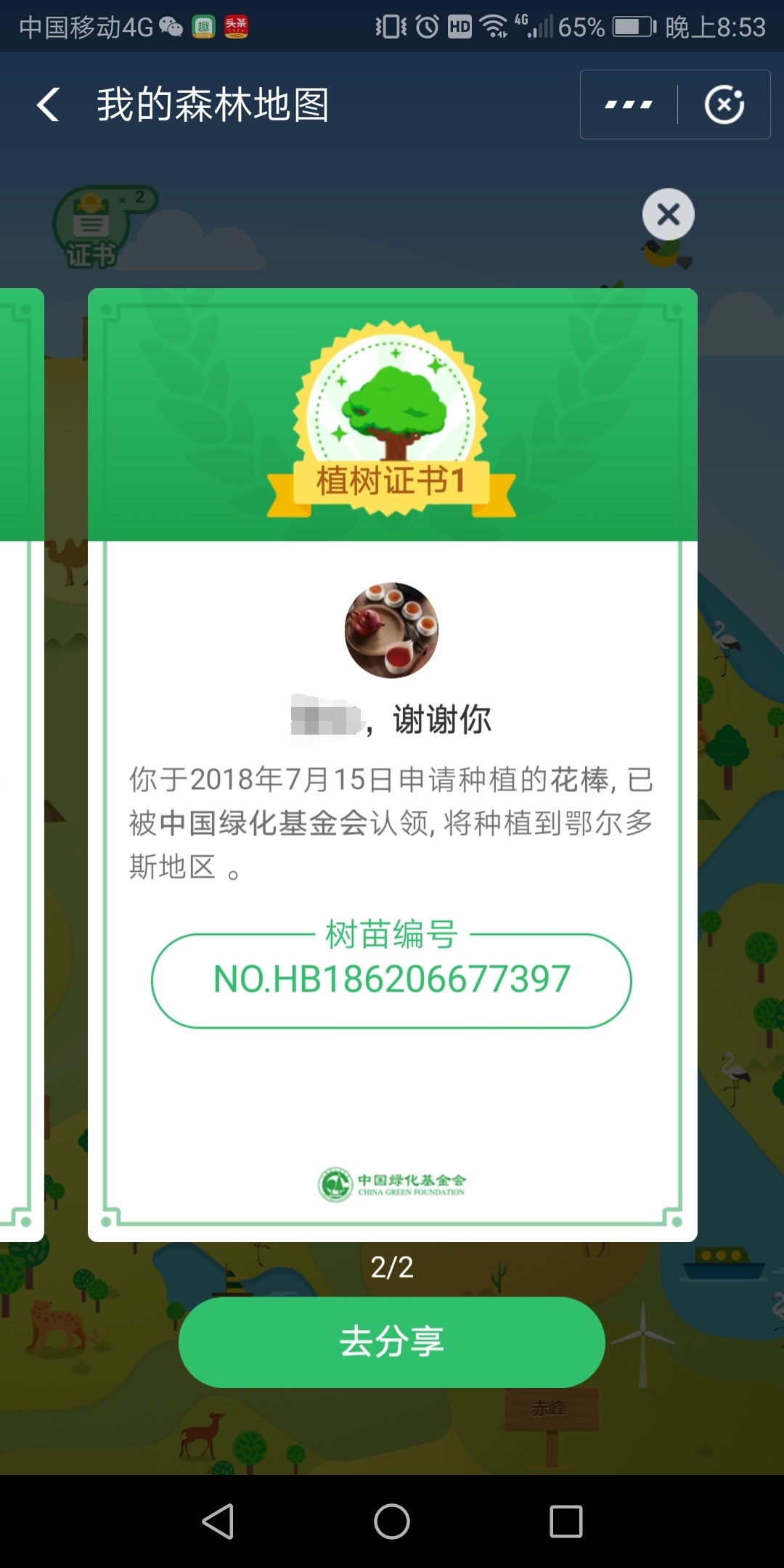 中国森林理财(中国森林ipo)