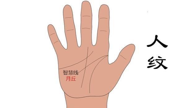 投资理财手相(理财纹手相很会照顾人)