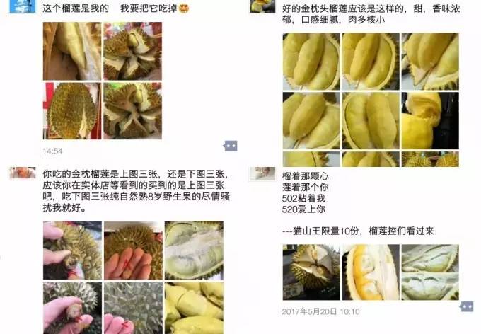 种榴莲理财(榴莲种植前景效益)