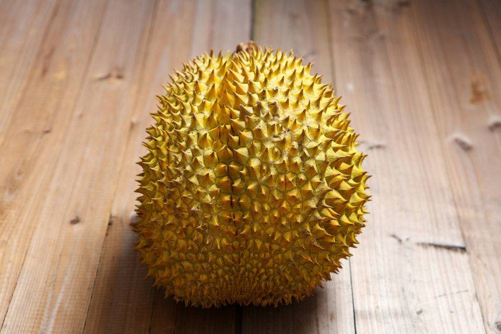 种榴莲理财(榴莲种植成本高吗)