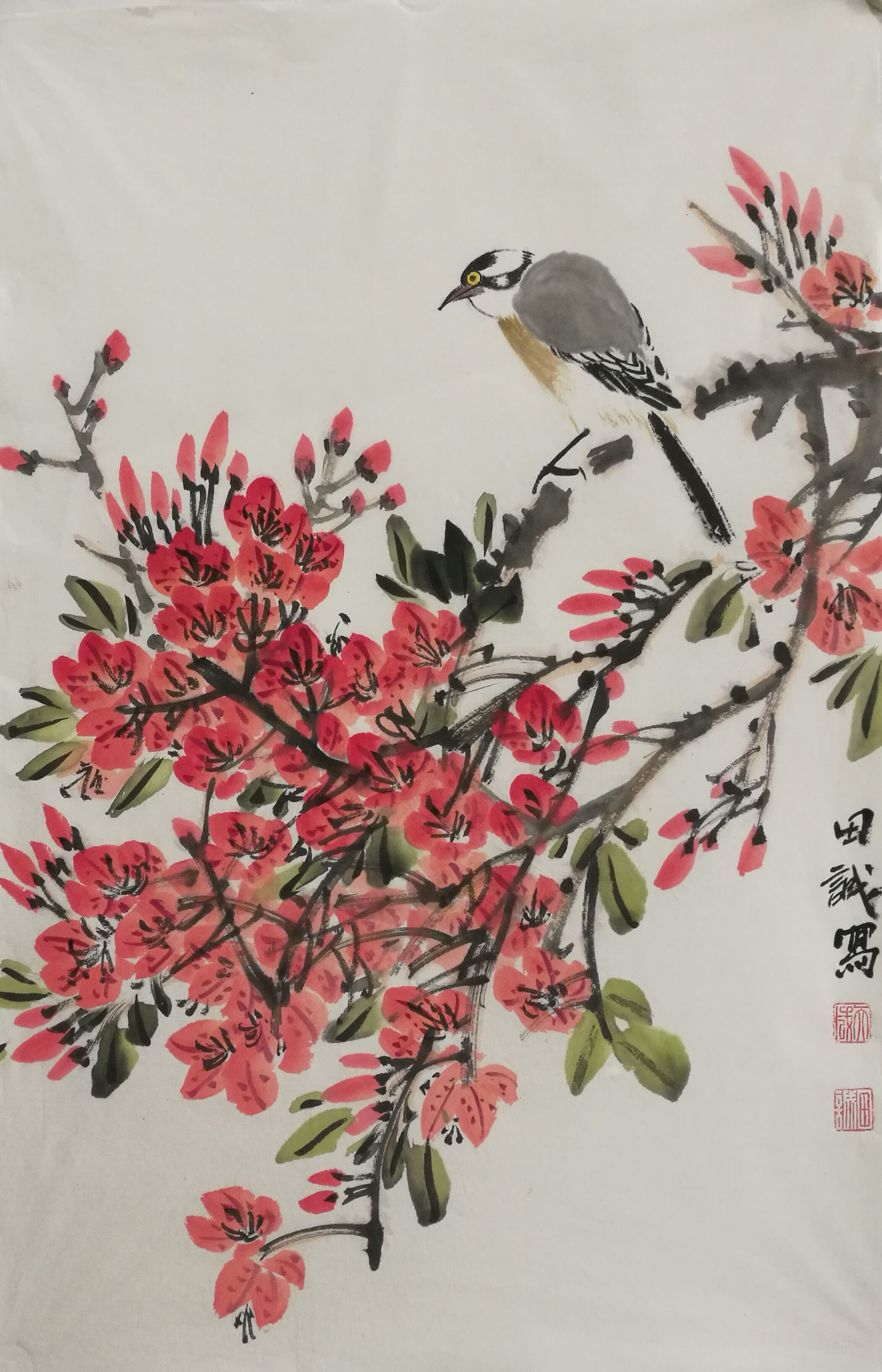 田诚理财(田诚作品价格)