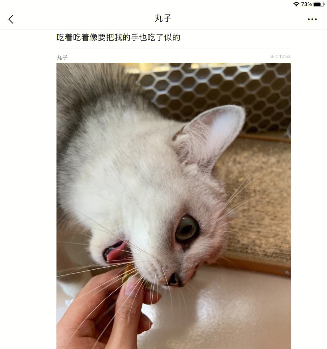 丸子妈理财(丸子妈妈讲故事在线收听)