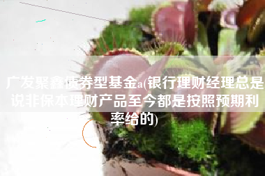 鑫竹理财(鑫鑫竹业有限公司)