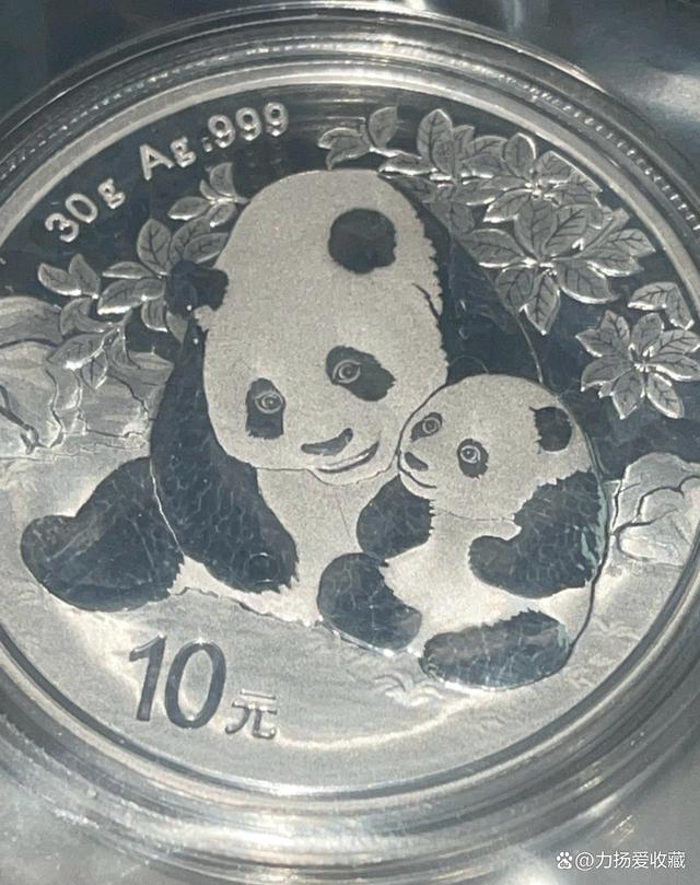熊猫银币贵金属(熊猫银币是什么银)