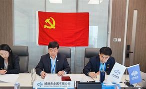 协诚贵金属(协成金属制品有限公司)