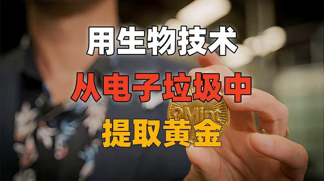 电子垃圾贵金属(电子垃圾贵金属提炼)