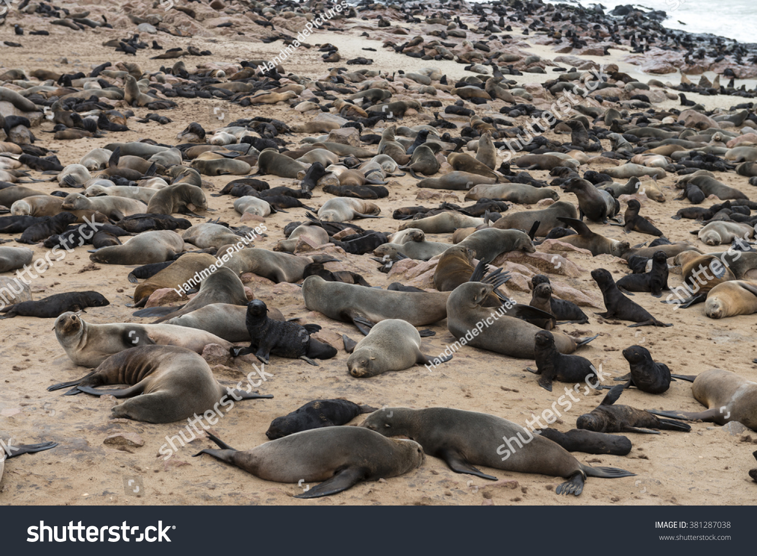 fur(芙蓉楼送辛渐)