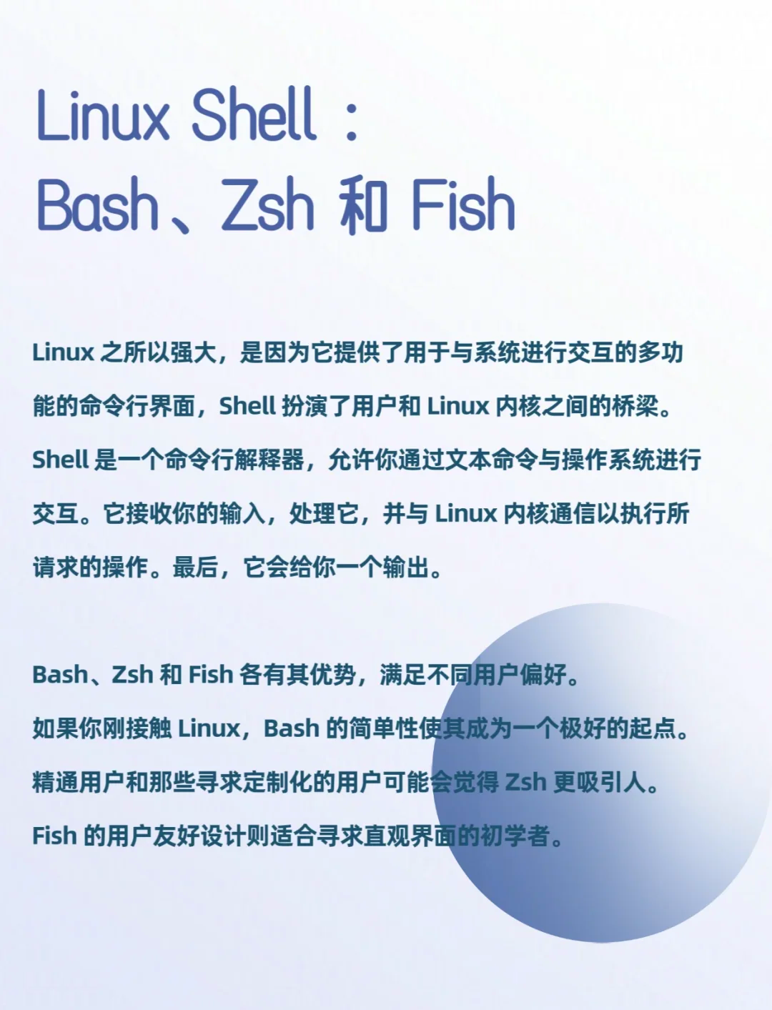 shell(shell是什么面料)