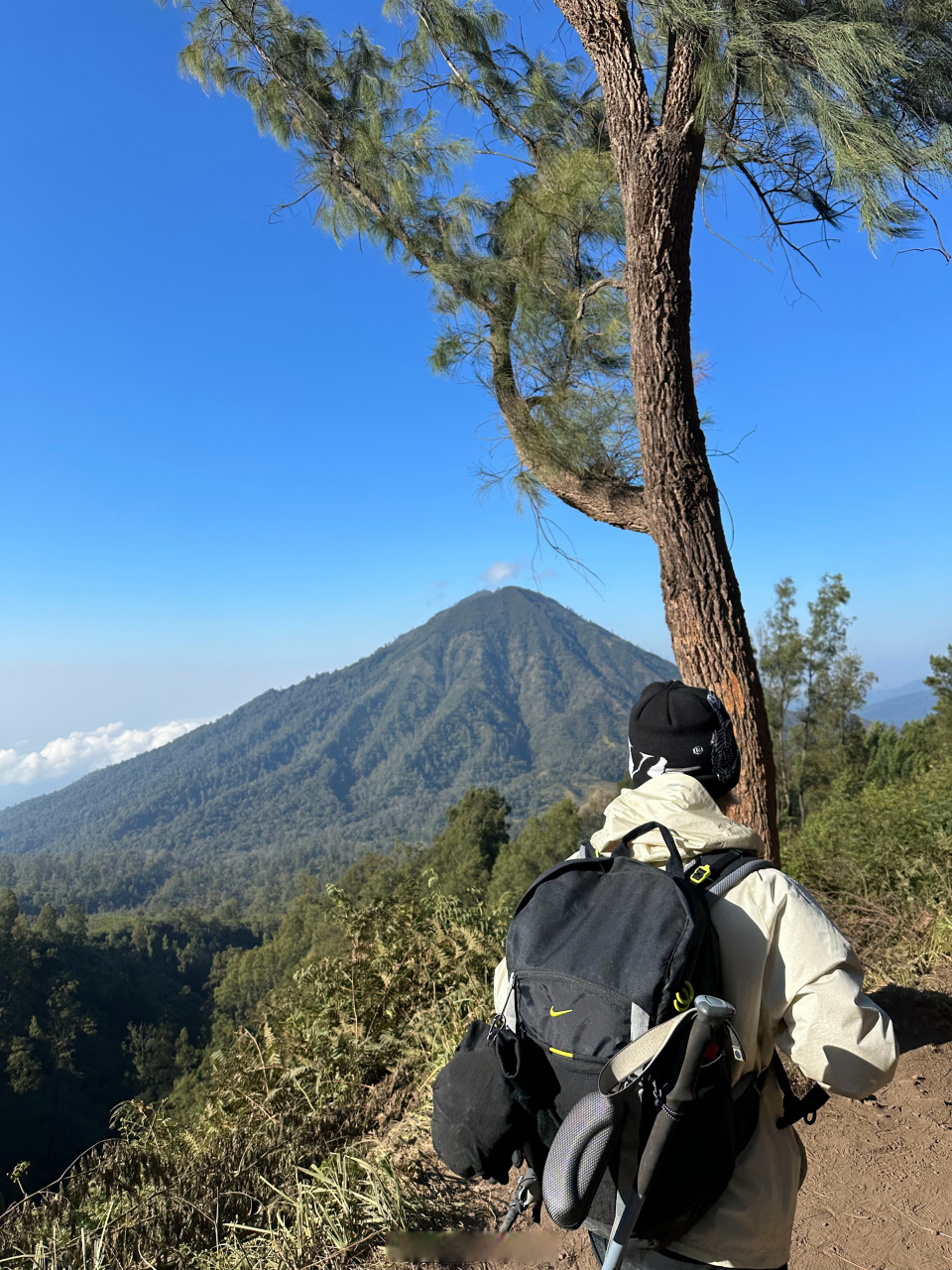 jail(jail bird) jail(jail bird)