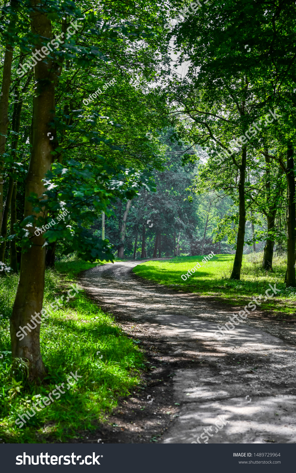 grass(grass怎么读)