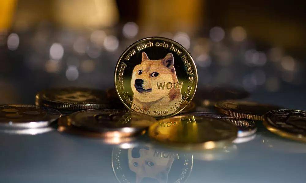 dogecoin(dogecoin币最新价格) dogecoin(dogecoin币最新价格)