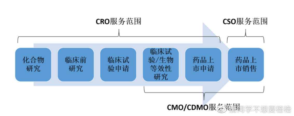 cro(crocodile) cro(crocodile)