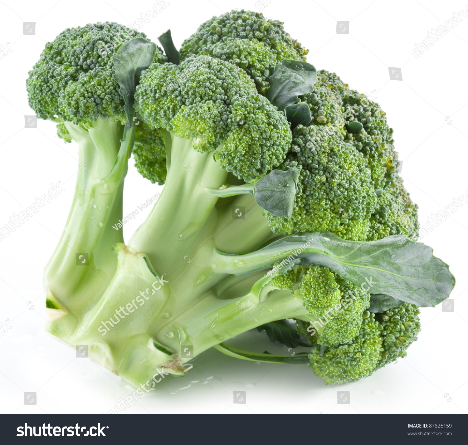 broccoli(broccoli的音标怎么写)