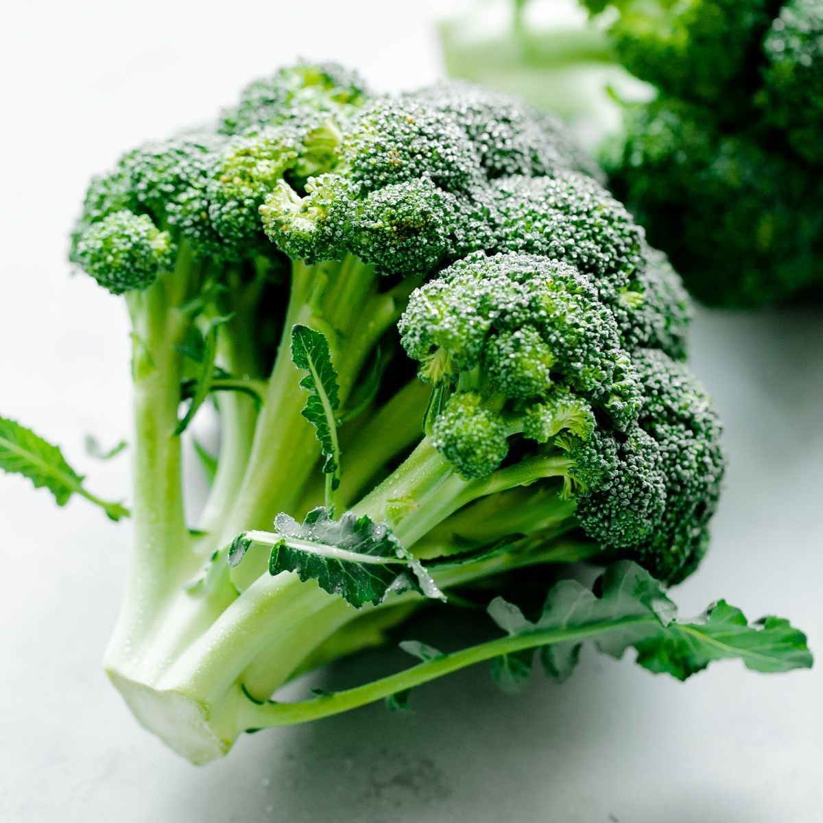 broccoli(broccoli翻译)