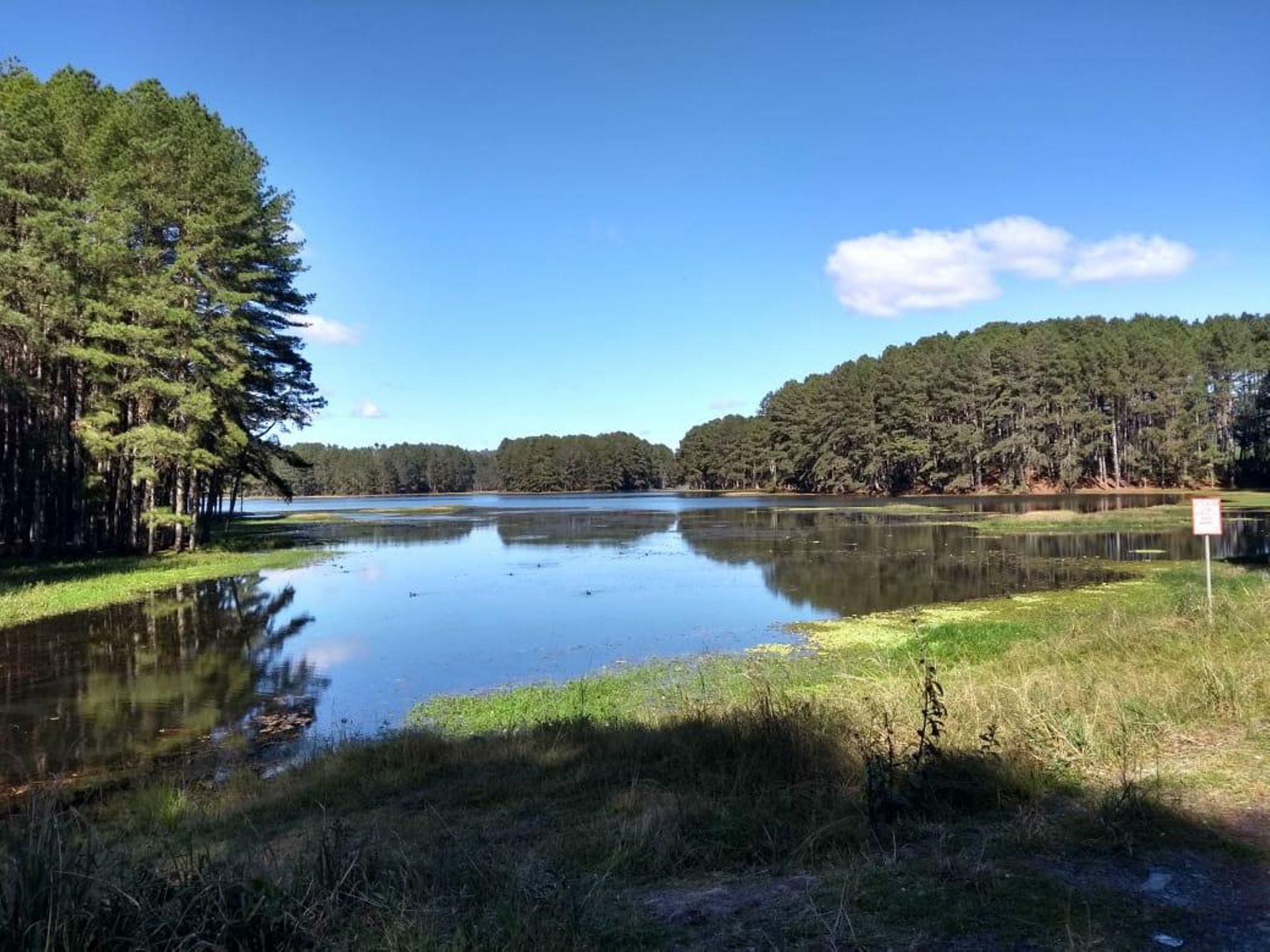 jail(jailbait) jail(jailbait)