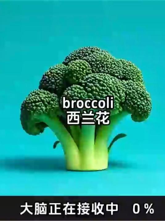 broccoli(broccoli正确发音)