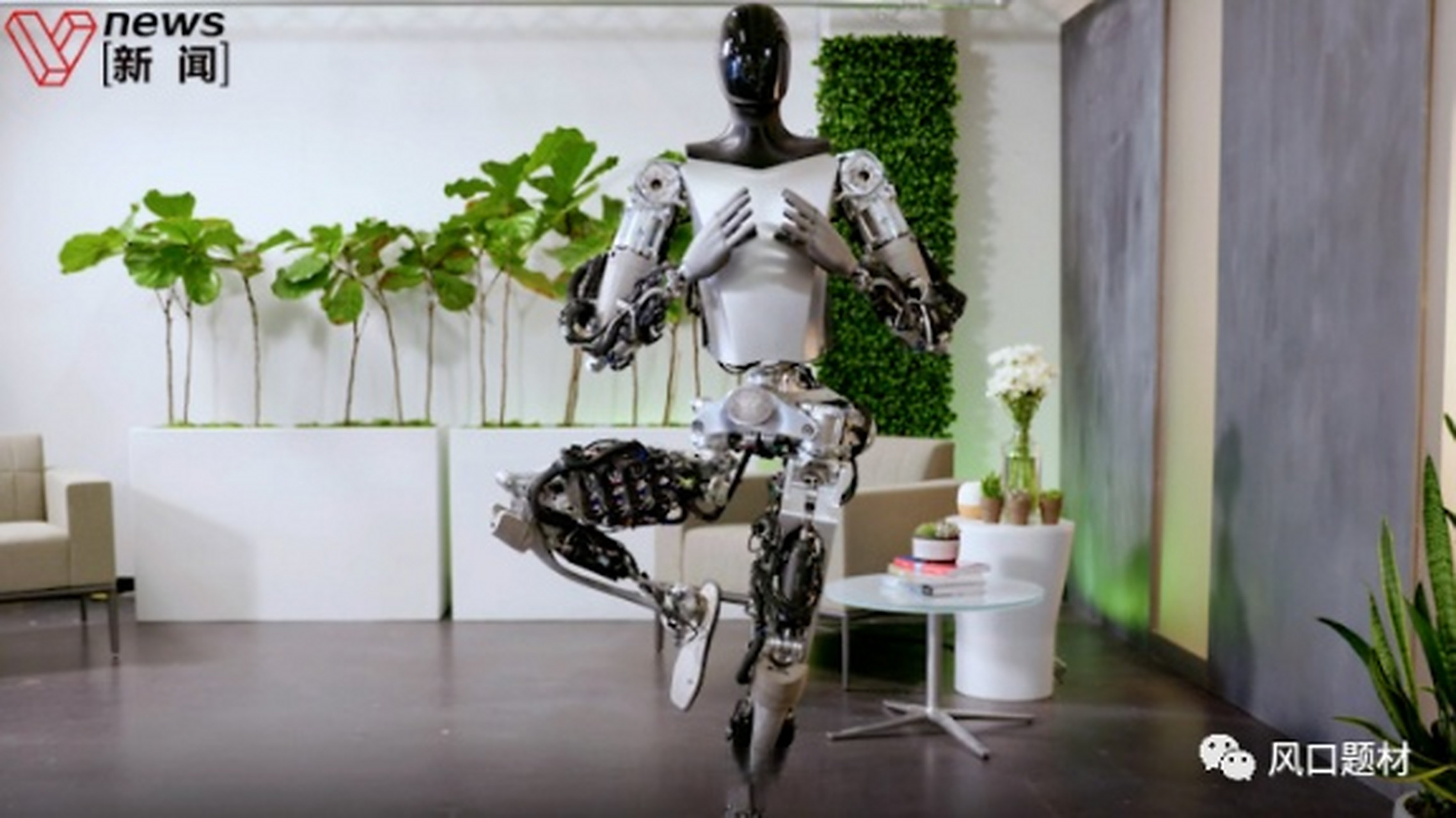 optimus(optimus翻译)