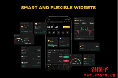 虚拟币交易app(国内虚拟币交易app)